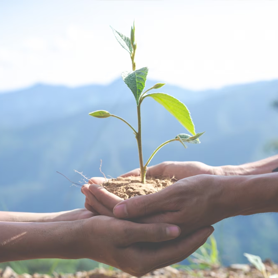 Sustainable Development Goals